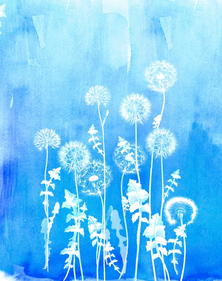 White dandelions with stems and leaves form silhouettes on a textured blue watercolor background, reflecting the delicate charm of the ME369 Olivia Camisole Dress in a dreamy botanical scene.