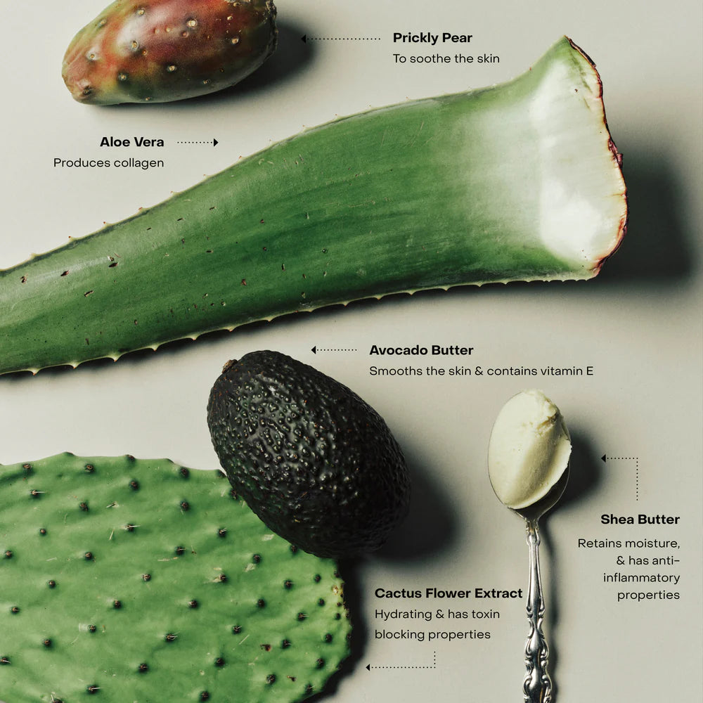 Flat lay of prickly pear, aloe vera leaf, avocado, cactus pad, and shea butter—key ingredients in SIDIA's Sidia Nirvana Hand Serum—celebrated for soothing and moisturizing. Perfect inspiration for a lightweight, hydrating hand serum.