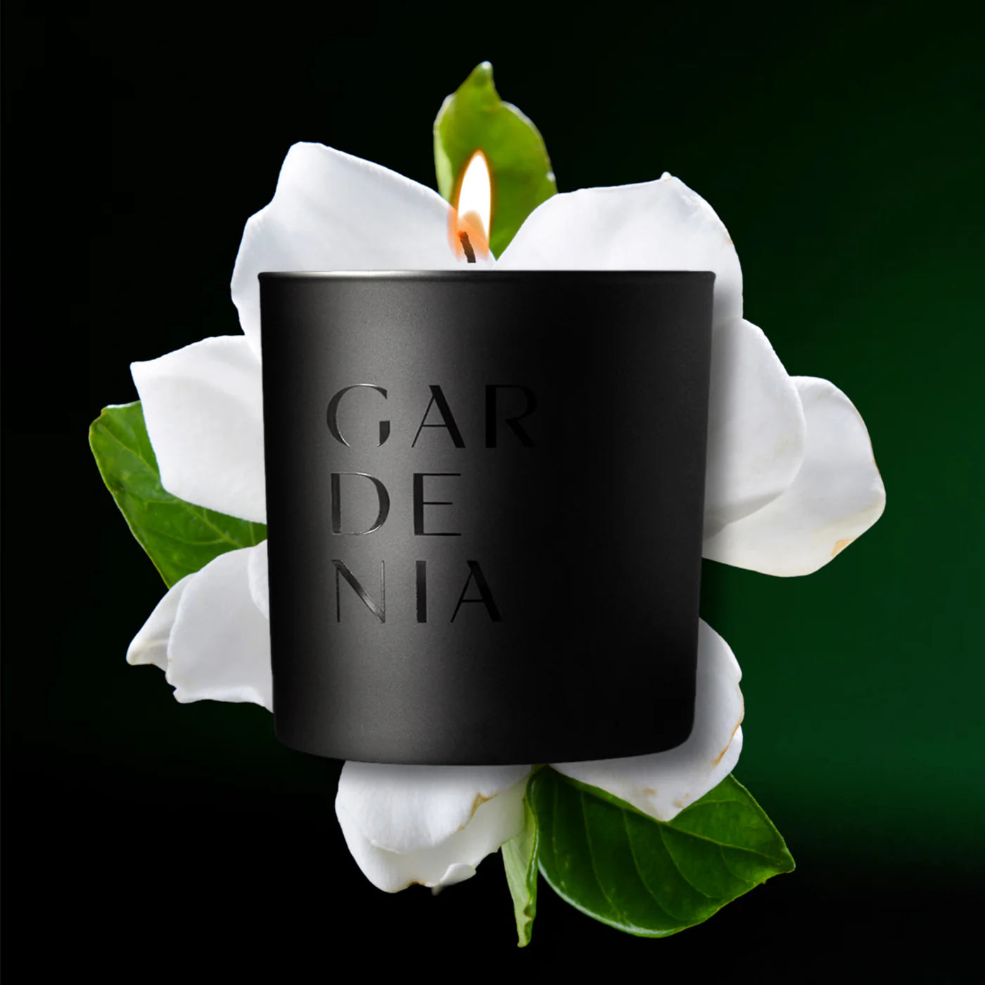 The Studio Stockhome Gardenia Candle, in a black holder with "GARDENIA" cut out, sits before white gardenias and green leaves. This luxury soy candle by Studio Stockhome is lit, offering a long burn time against a dark green backdrop.