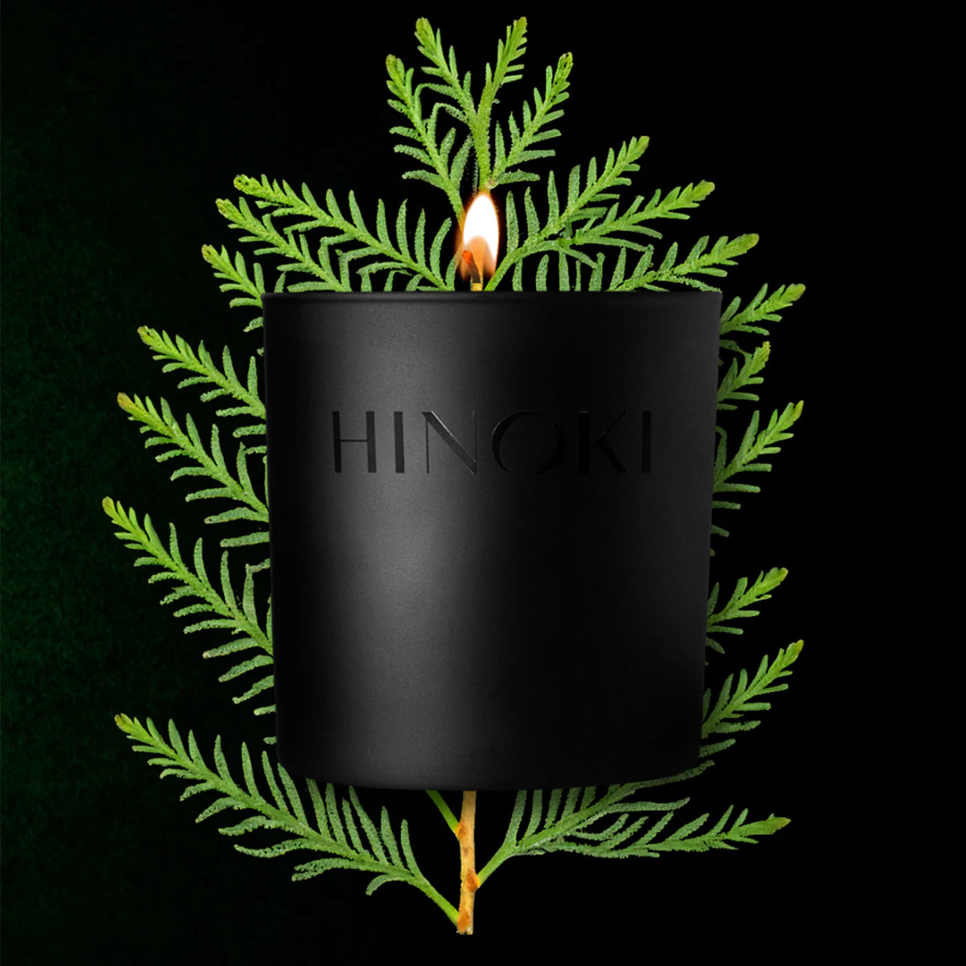 The Studio Stockhome Hinoki Candle, from Studio Stockhome, burns with a gentle flame in front of a green hinoki branch against a dark backdrop.
