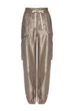 Load image into Gallery viewer, le superbe metallic cargo pants at west2westport.com